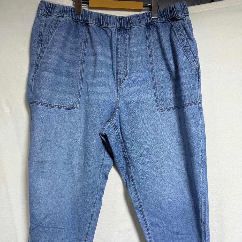 Madewell Women's Jeans 3X  Pull-On Relaxed Beswick - Elastic Waist
